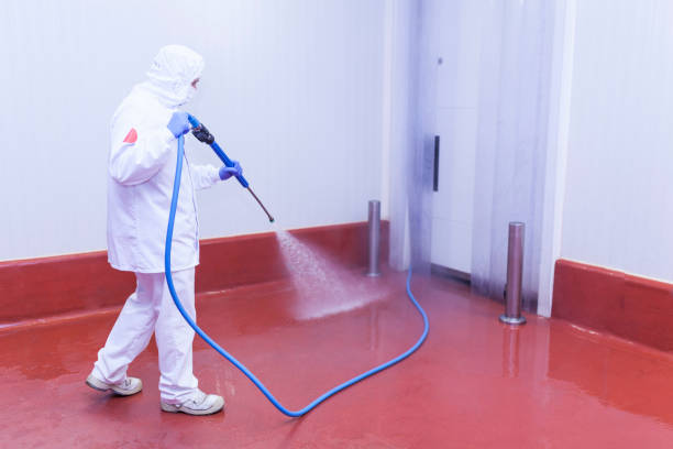 Best Pool Deck Cleaning  in Bemiss, GA